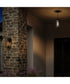 Shaw 17 Inch 1 Light Outdoor Pendant with Clear Glass Antique Bronze