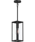Ryle 1-Light Outdoor Pendant Light with Clear Glass Panels Matte Black