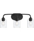 Ilia 3-Light Bath Vanity with Clear Glass Shade Matte Black