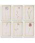 Wild Flourish Framed Floral Prints Set of 6