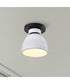 Collins 1-Light Close-to-Ceiling Matte Black