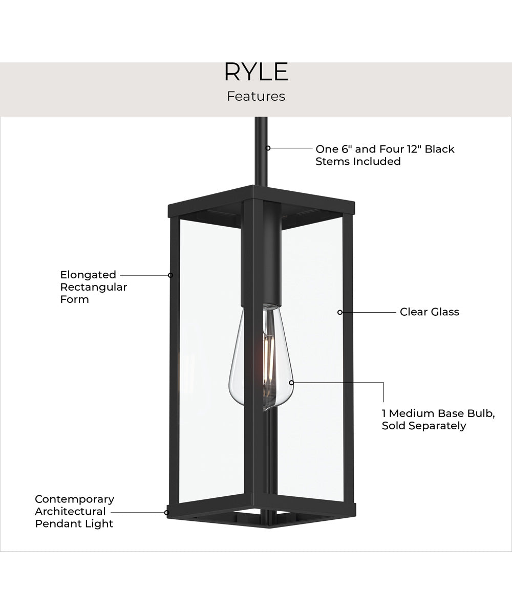 Ryle 1-Light Outdoor Pendant Light with Clear Glass Panels Matte Black