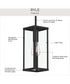 Ryle 1-Light Outdoor Pendant Light with Clear Glass Panels Matte Black