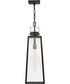 Hugh 1-Light Large Hanging Lantern in Black