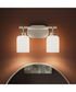 Reines 2-Light Bath Vanity with Opal Glass Shades Brushed Nickel
