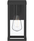 Ryle 1-Light Small Wall Lantern with Clear Glass Panels Matte Black