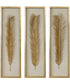 Palma Gold Leaf Shadow Box Set of 3