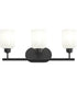 Reines 3-Light Bath Vanity with Opal Glass Shades Matte Black