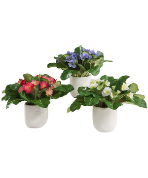 Trilogy Primrose Accents In Vases Set of 3