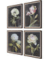 Florals On Black Framed Prints, Set of 4