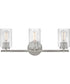 Leta 3-Light Medium Three Light Vanity in Brushed Nickel