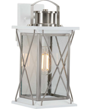 Barlowe 1-Light Medium Wall Lantern Stainless Steel