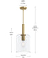 Reines 1-Light Pendant with Clear Glass Shade Brushed Gold