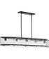 Rivera 5-Light Luxe Industrial Linear Light Matte Black
