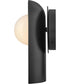 Zuri 1-Light Medium Single Light Sconce in Black