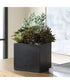 Greystone Indoor-Outdoor Succulent