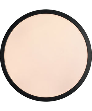 Slim Line II 1-Light Lighting Flat Black