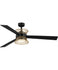 Ceiling Fans with Remotes