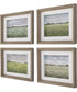 Quiet Meadows Framed Prints, Set of 4