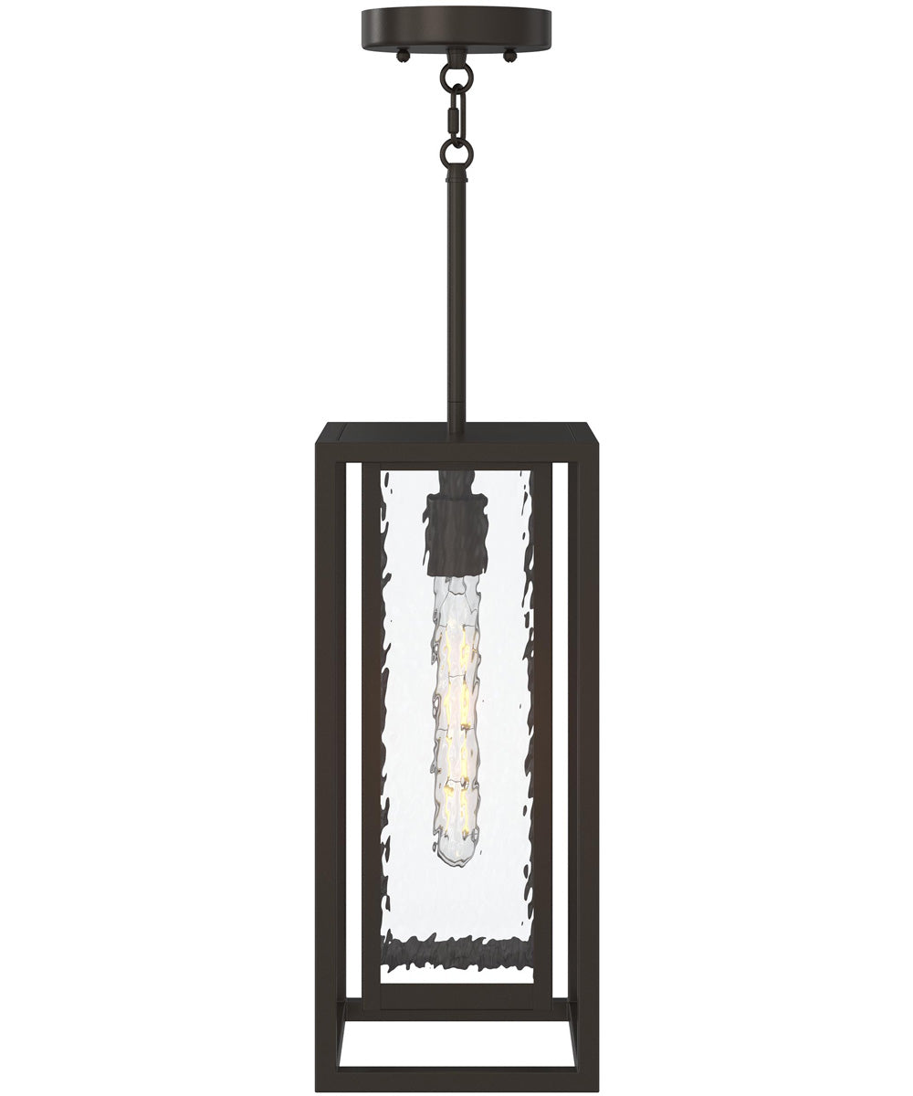 Shaw 17 Inch 1 Light Outdoor Pendant with Clear Glass Antique Bronze