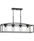 Swansea 4-Light 36" Transitional Outdoor Chandelier with Clear Glass Shades Matte Black