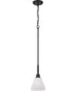 Pleated II 1-Light Lighting Flat Black