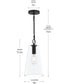 Jheni 1-Light Pendant with Clear Glass Shade Matte Black