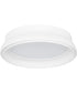 Legend Ceiling Flush Mount Studio White