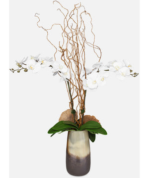 Earthbound Orchid With Vase