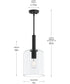 Reines 1-Light Pendant with Clear Glass Shade Matte Black