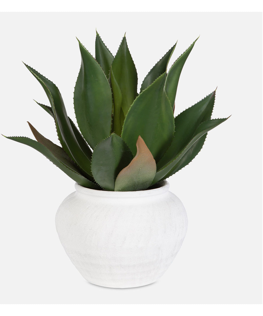 Tierra Agave Centerpiece With Vase