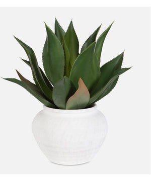 Tierra Agave Centerpiece With Vase