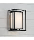 Aiden 1-Light Outdoor Wall-Lantern Black
