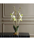 Lady Slipper Orchid In Glass Vase