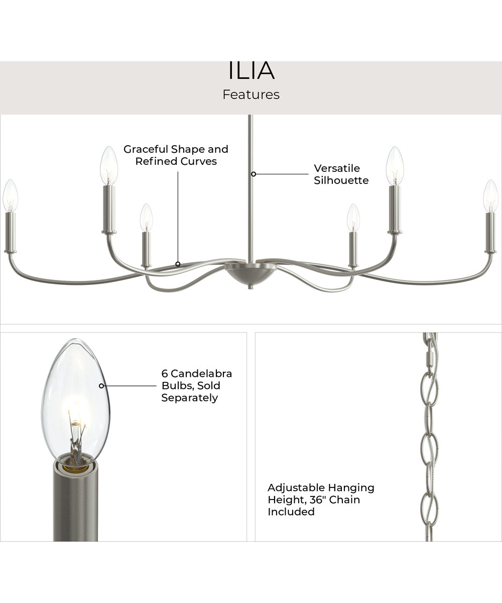 Ilia 6-Light Extra Large Chandelier Brushed Nickel