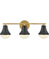 Haddie 3-Light Medium Three Light Vanity in Black