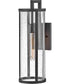 Alfie 1-Light Medium Wall Mount Lantern in Black