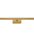 Rubelle 18.5 inch LED Picture Light Gold