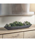 Verde Succulent Centerpiece In Bowl