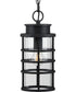 Port Royal 1-Light Hanging Lantern with DURASHIELD Textured Black