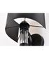 Teagon 1-Light Vanity & Wall Matte Black