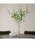 Nigra Birch Vase Centerpiece