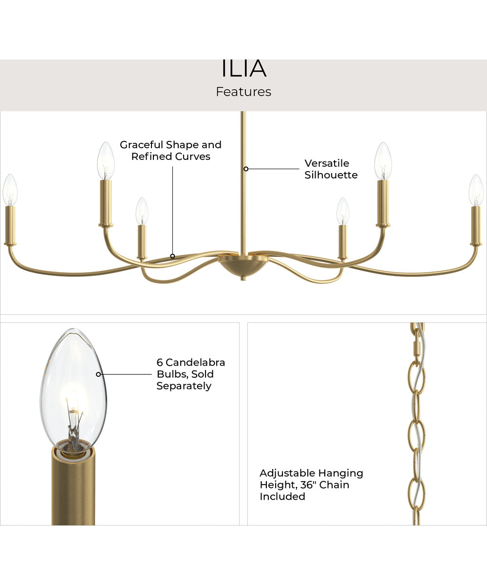 Ilia 6-Light Extra Large Chandelier Brushed Gold