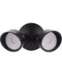 LED Flood 2-Light Outdoor Lighting Bronze