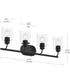 Reines 4-Light Bath Vanity with Clear Glass Shades Matte Black