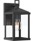 Cantley Small Outdoor Wall Lantern with Clear Glass Panels Matte Black