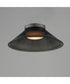 Jensen 12 inch Wall Sconce/Flush Mount Black