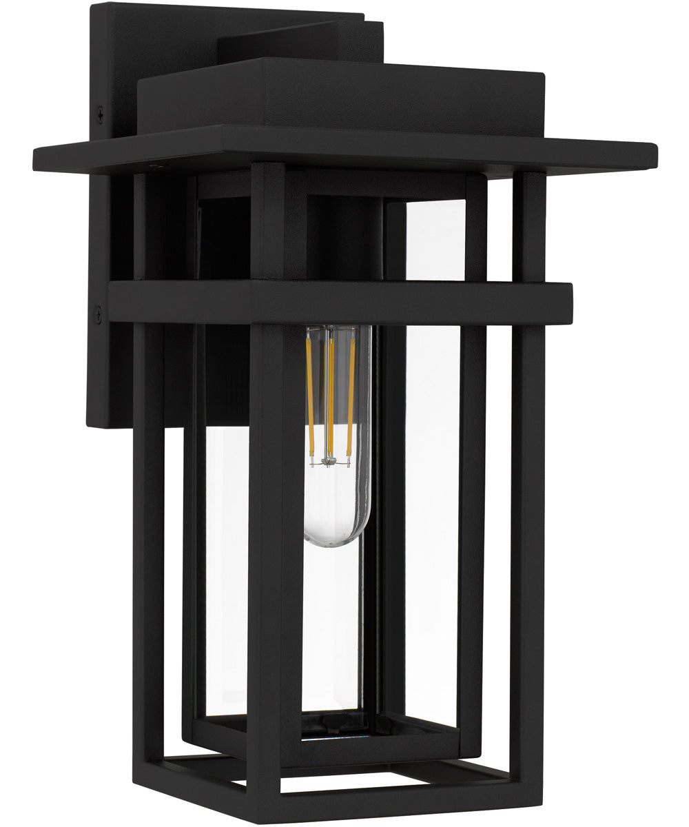 Morgan 1-light Outdoor Wall Light Earth Black