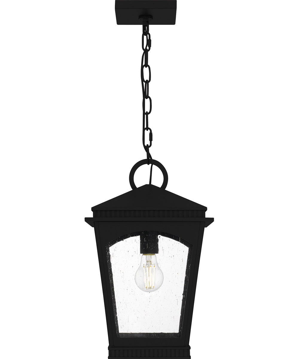 Huck Large 1-light Outdoor Pendant Light  Coastal Armour Aluminum Earth Black