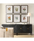 Orchid Botanical Framed Prints Set of 6